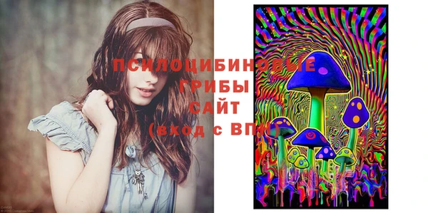 синтетический гашиш Богданович